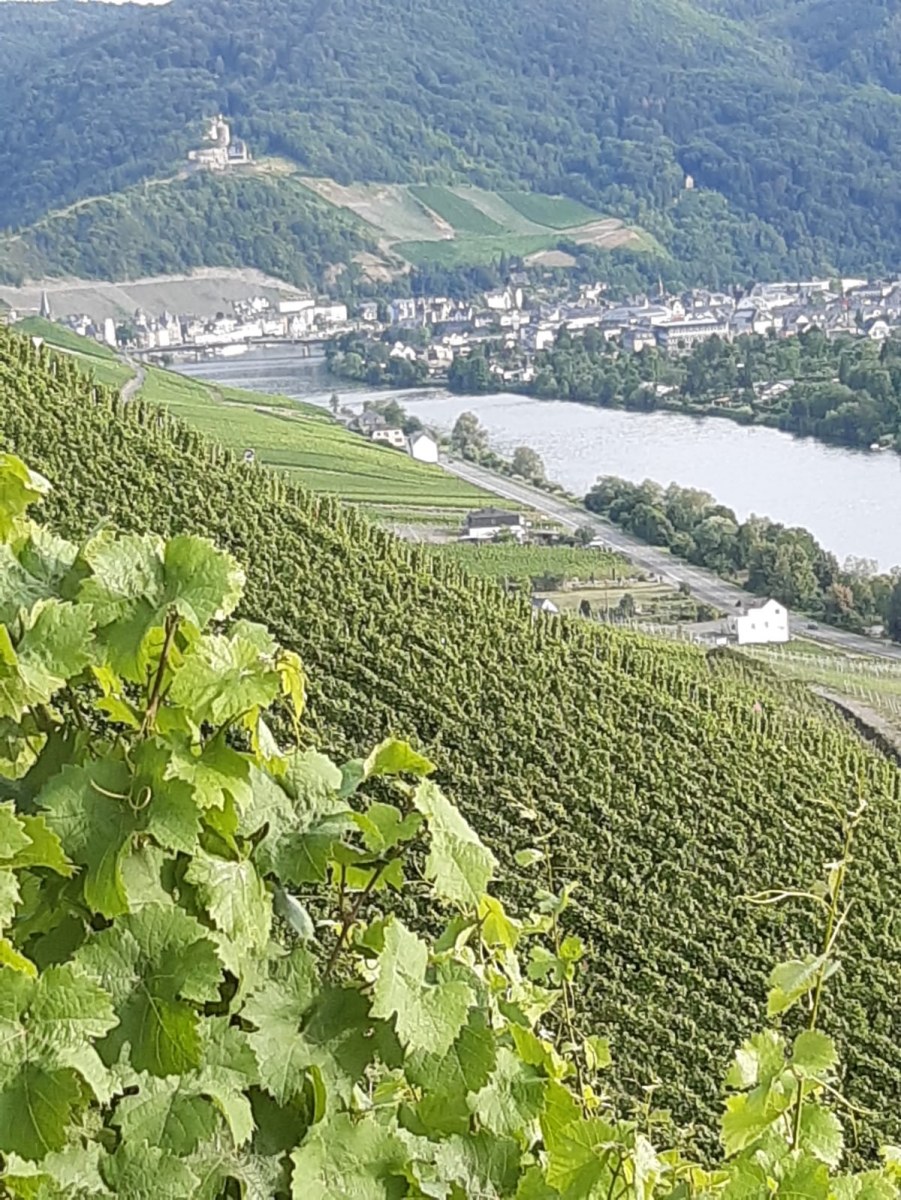 Blick-auf-Bernkastel-Kues-mit-der-Burg-Landshut