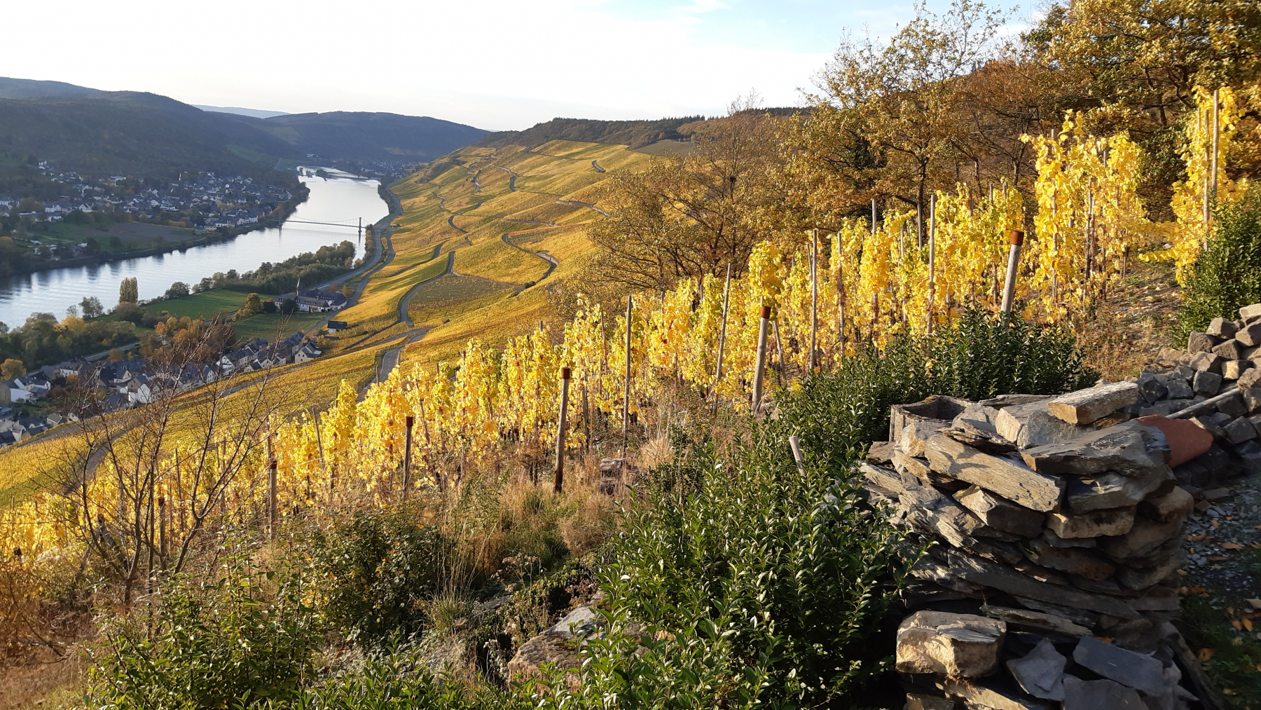 Blick-vom-Ruheplatz-auf-dem-Berg