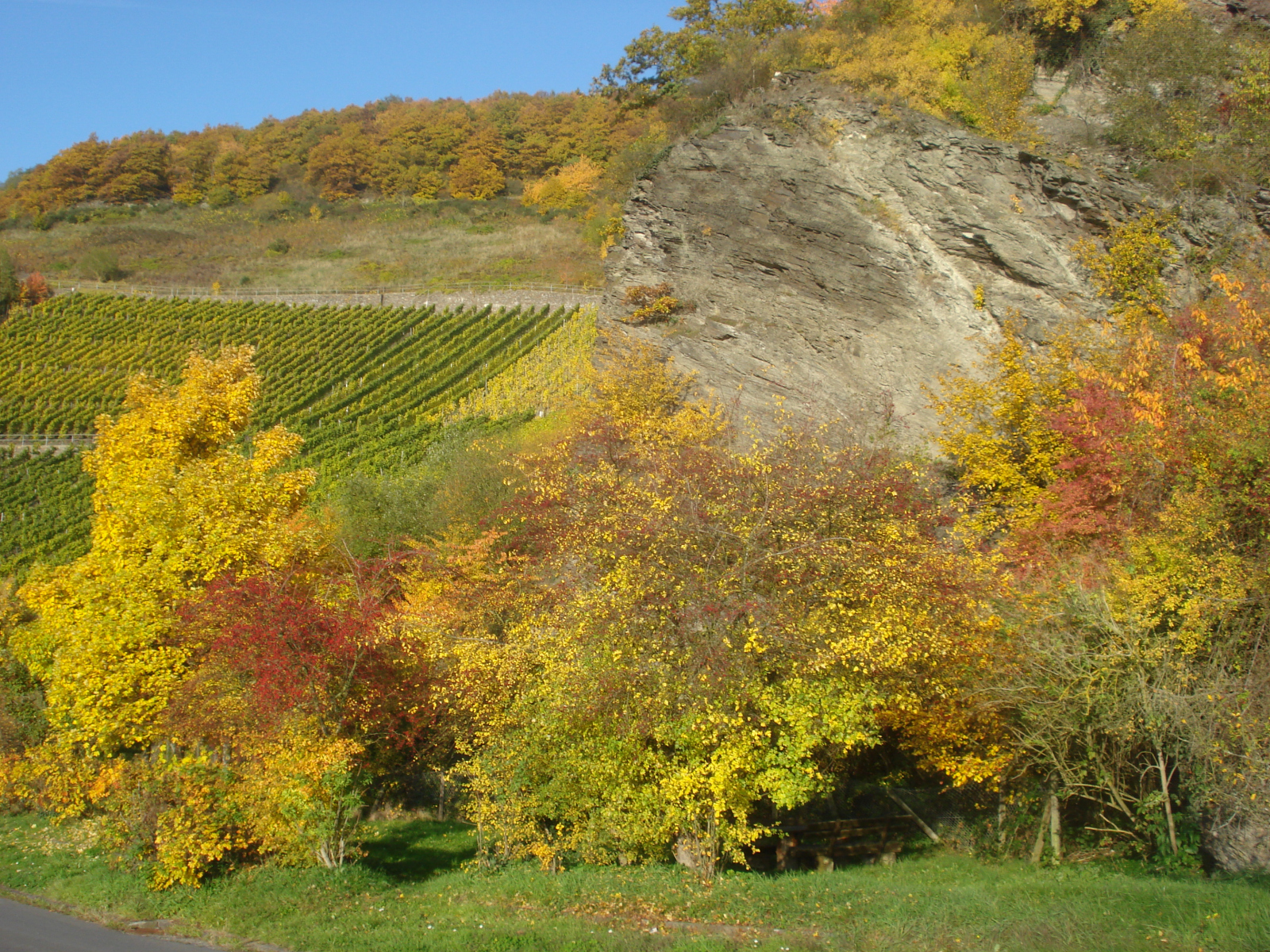 Herbstimpressionen-II