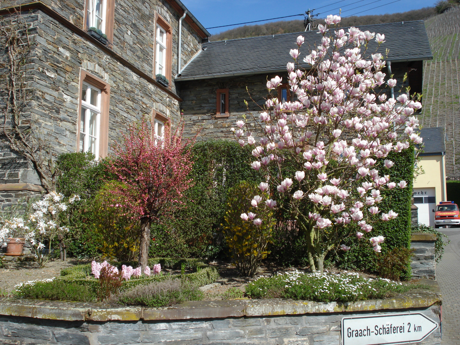 Vorgarten-im-Fruehling